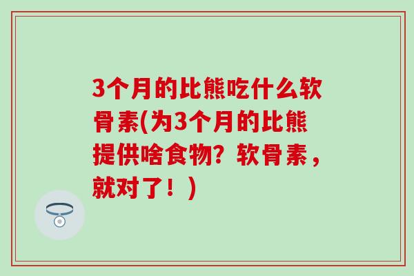 3个月的比熊吃什么软骨素(为3个月的比熊提供啥食物?软骨素,就对了!) 3个月的比熊吃什么软骨素(为3个月的比熊提供啥食物?软骨素,就对了!)