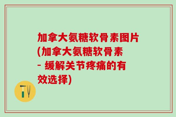 加拿大氨糖软骨素图片(加拿大氨糖软骨素 - 缓解关节疼痛的有效选择)