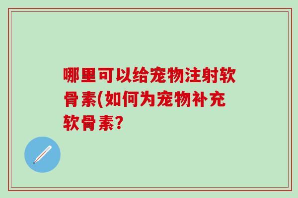 哪里可以给宠物注射软骨素(如何为宠物补充软骨素？