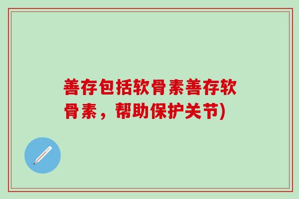 善存包括软骨素善存软骨素，帮助保护关节)