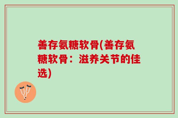 善存氨糖软骨(善存氨糖软骨：滋养关节的佳选)