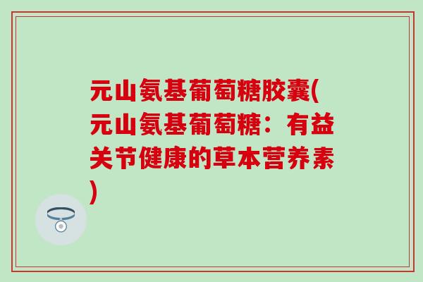 元山氨基葡萄糖胶囊(元山氨基葡萄糖：有益关节健康的草本营养素)