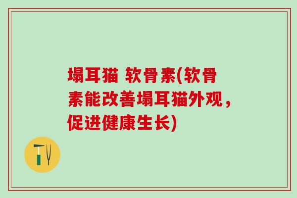 塌耳猫 软骨素(软骨素能改善塌耳猫外观，促进健康生长)