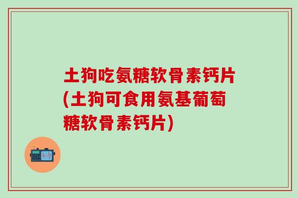 土狗吃氨糖软骨素钙片(土狗可食用氨基葡萄糖软骨素钙片)