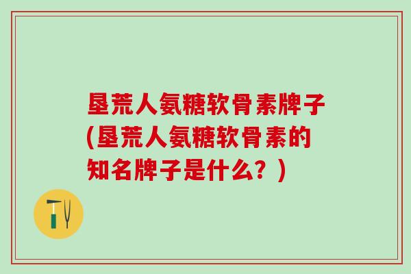 垦荒人氨糖软骨素牌子(垦荒人氨糖软骨素的知名牌子是什么？)