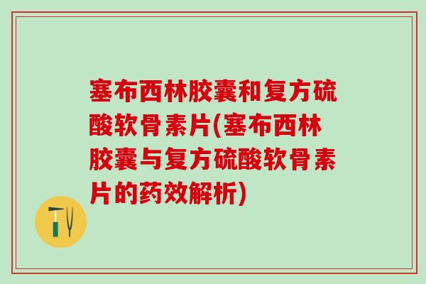 塞布西林胶囊和复方硫酸软骨素片(塞布西林胶囊与复方硫酸软骨素片的药效解析)
