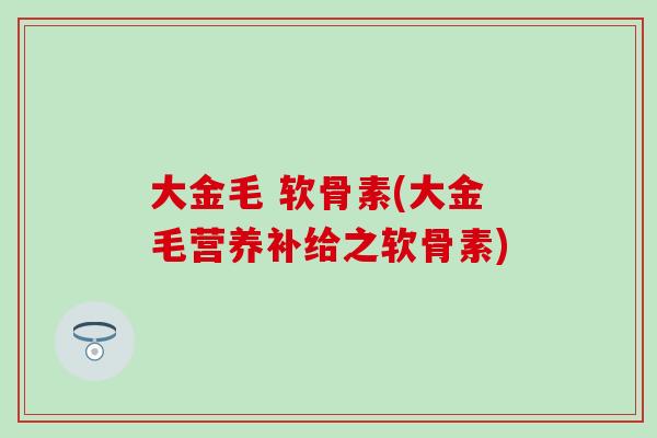 大金毛 软骨素(大金毛营养补给之软骨素) 大金毛 软骨素(大金毛营养补给之软骨素)