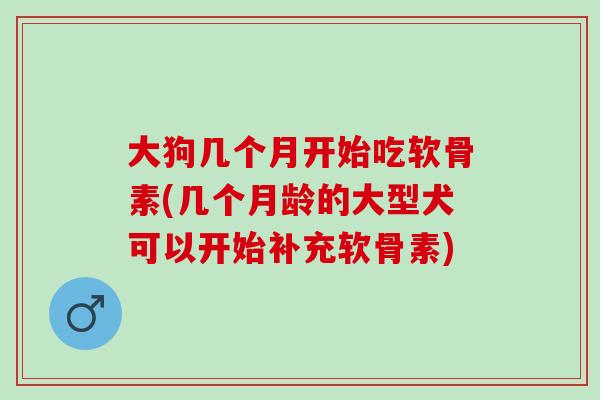大狗几个月开始吃软骨素(几个月龄的大型犬可以开始补充软骨素)