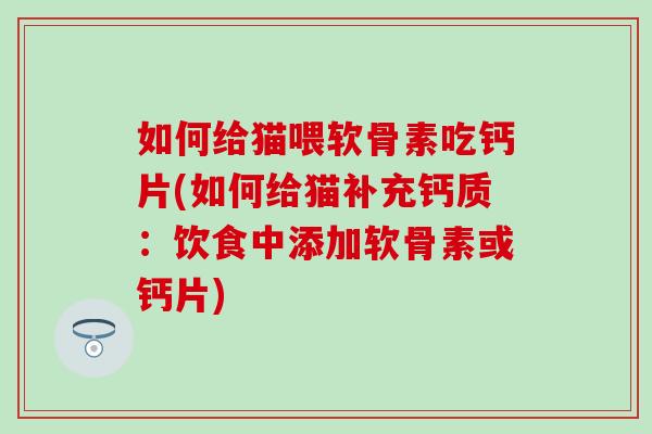如何给猫喂软骨素吃钙片(如何给猫补充钙质：饮食中添加软骨素或钙片)