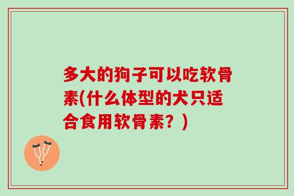 多大的狗子可以吃软骨素(什么体型的犬只适合食用软骨素？)