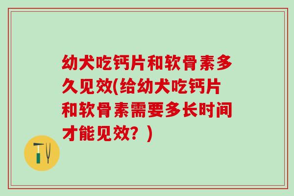 幼犬吃钙片和软骨素多久见效(给幼犬吃钙片和软骨素需要多长时间才能见效？)