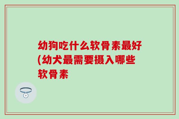 幼狗吃什么软骨素最好(幼犬最需要摄入哪些软骨素