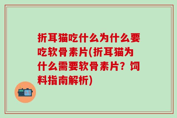 折耳猫吃什么为什么要吃软骨素片(折耳猫为什么需要软骨素片？饲料指南解析)
