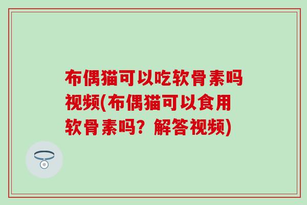 布偶猫可以吃软骨素吗视频(布偶猫可以食用软骨素吗？解答视频)