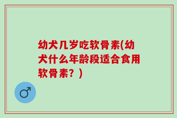 幼犬几岁吃软骨素(幼犬什么年龄段适合食用软骨素？)