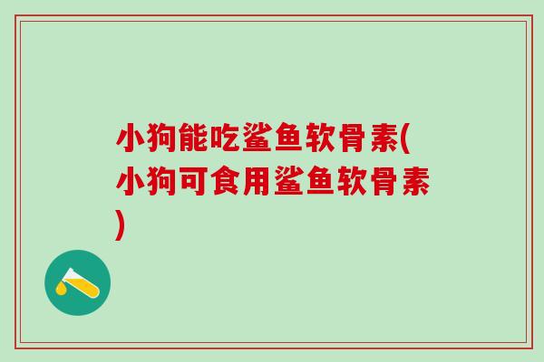 小狗能吃鲨鱼软骨素(小狗可食用鲨鱼软骨素)