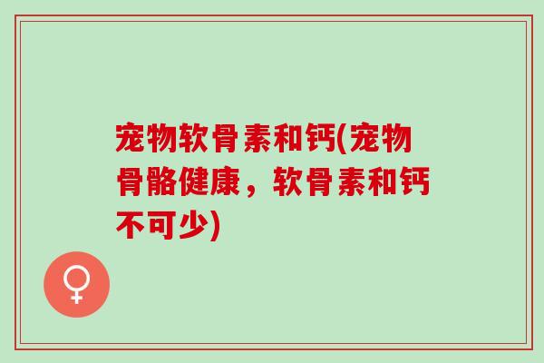 宠物软骨素和钙(宠物骨骼健康,软骨素和钙不可少) 宠物软骨素和钙(宠物骨骼健康,软骨素和钙不可少)