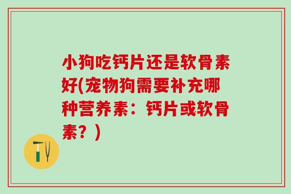 小狗吃钙片还是软骨素好(宠物狗需要补充哪种营养素：钙片或软骨素？)