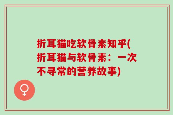 折耳猫吃软骨素知乎(折耳猫与软骨素：一次不寻常的营养故事)