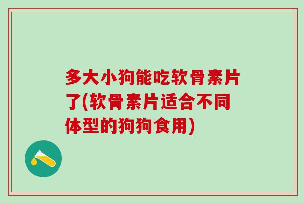 多大小狗能吃软骨素片了(软骨素片适合不同体型的狗狗食用)