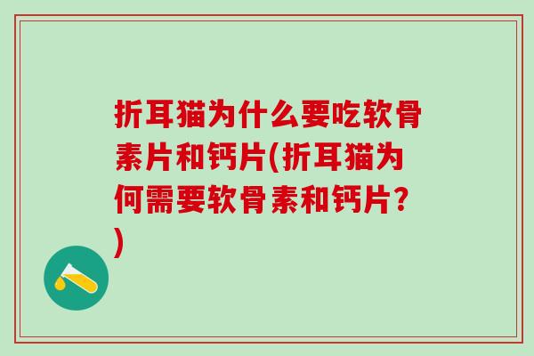 折耳猫为什么要吃软骨素片和钙片(折耳猫为何需要软骨素和钙片？)