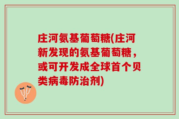 庄河氨基葡萄糖(庄河新发现的氨基葡萄糖，或可开发成全球首个贝类病毒防治剂)