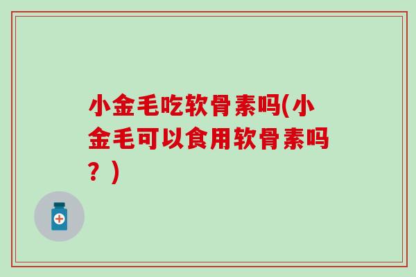 小金毛吃软骨素吗(小金毛可以食用软骨素吗？)