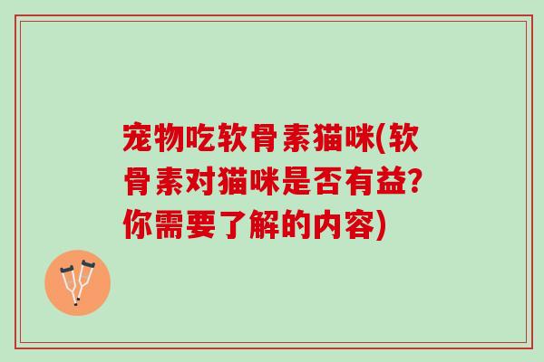 宠物吃软骨素猫咪(软骨素对猫咪是否有益？你需要了解的内容)