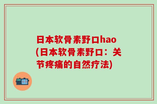 日本软骨素野口hao(日本软骨素野口：关节疼痛的自然疗法)