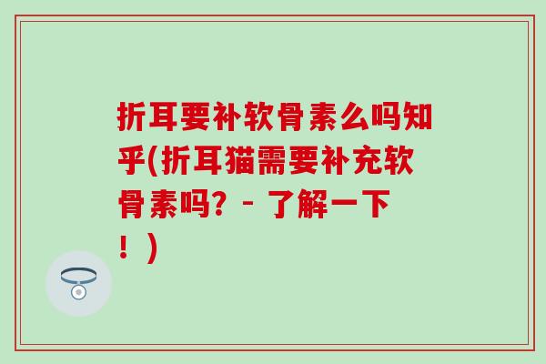 折耳要补软骨素么吗知乎(折耳猫需要补充软骨素吗?- 了解一下!) 折耳要补软骨素么吗知乎(折耳猫需要补充软骨素吗?- 了解一下!)