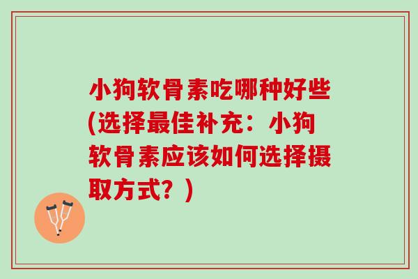 小狗软骨素吃哪种好些(选择最佳补充：小狗软骨素应该如何选择摄取方式？)