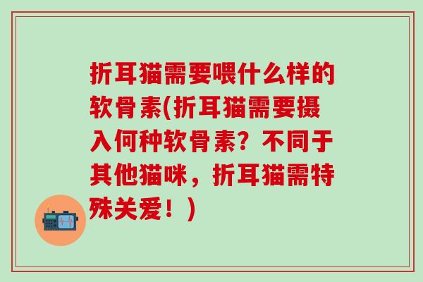 折耳猫需要喂什么样的软骨素(折耳猫需要摄入何种软骨素？不同于其他猫咪，折耳猫需特殊关爱！)