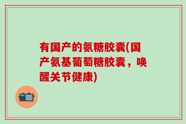 有国产的氨糖胶囊(国产氨基葡萄糖胶囊，唤醒关节健康)