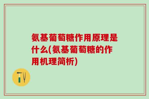 氨基葡萄糖作用原理是什么(氨基葡萄糖的作用机理简析)