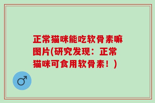 正常猫咪能吃软骨素嘛图片(研究发现：正常猫咪可食用软骨素！)
