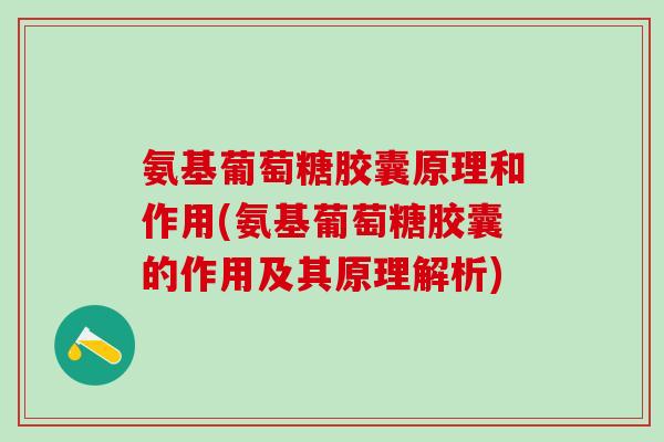 氨基葡萄糖胶囊原理和作用(氨基葡萄糖胶囊的作用及其原理解析)