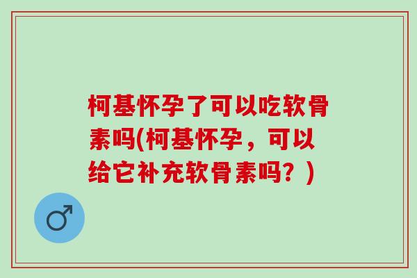 柯基怀孕了可以吃软骨素吗(柯基怀孕，可以给它补充软骨素吗？)