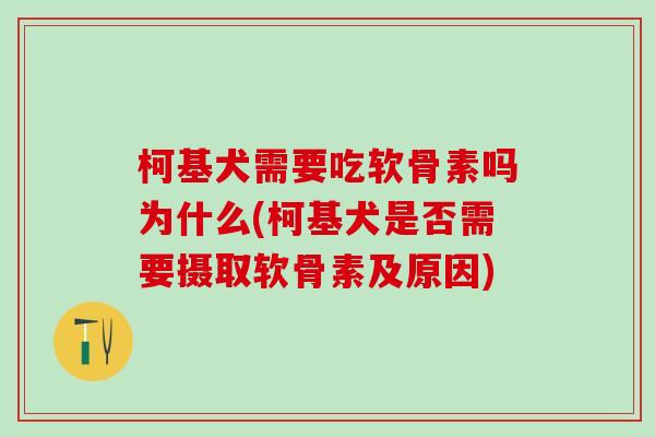 柯基犬需要吃软骨素吗为什么(柯基犬是否需要摄取软骨素及原因)