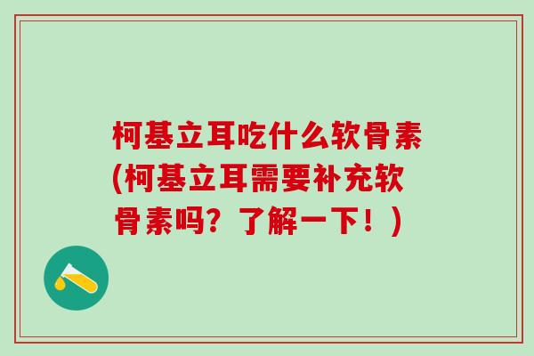 柯基立耳吃什么软骨素(柯基立耳需要补充软骨素吗？了解一下！)
