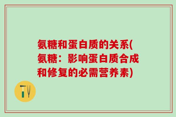 氨糖和蛋白质的关系(氨糖：影响蛋白质合成和修复的必需营养素)