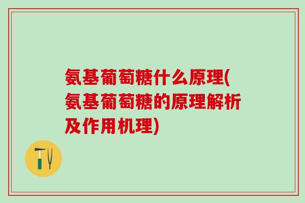 氨基葡萄糖什么原理(氨基葡萄糖的原理解析及作用机理)
