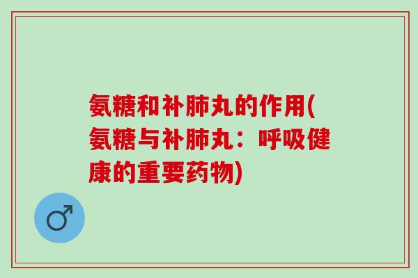 氨糖和补肺丸的作用(氨糖与补肺丸：呼吸健康的重要药物)