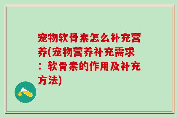 宠物软骨素怎么补充营养(宠物营养补充需求：软骨素的作用及补充方法)