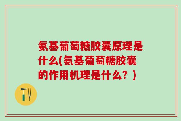 氨基葡萄糖胶囊原理是什么(氨基葡萄糖胶囊的作用机理是什么？)