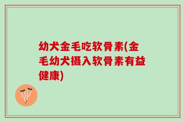 幼犬金毛吃软骨素(金毛幼犬摄入软骨素有益健康)