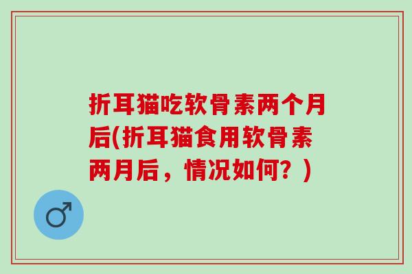 折耳猫吃软骨素两个月后(折耳猫食用软骨素两月后，情况如何？)