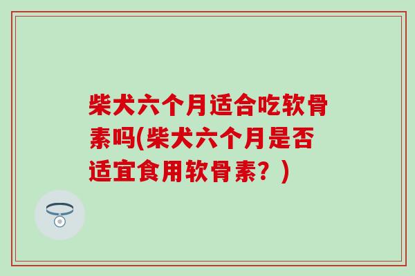 柴犬六个月适合吃软骨素吗(柴犬六个月是否适宜食用软骨素？)