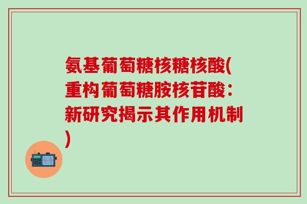 氨基葡萄糖核糖核酸(重构葡萄糖胺核苷酸：新研究揭示其作用机制)