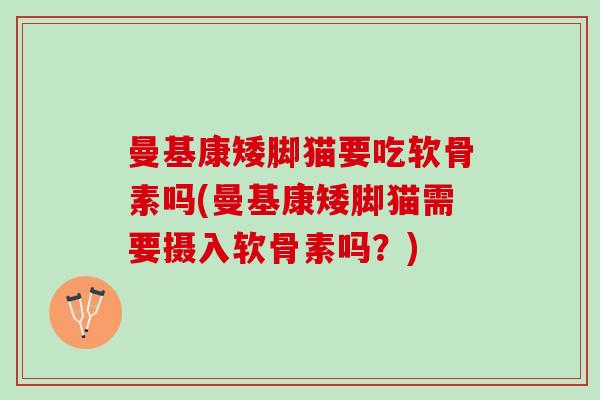 曼基康矮脚猫要吃软骨素吗(曼基康矮脚猫需要摄入软骨素吗？)