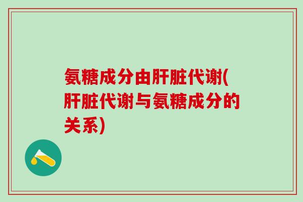 氨糖成分由代谢(代谢与氨糖成分的关系) 氨糖成分由代谢(代谢与氨糖成分的关系)